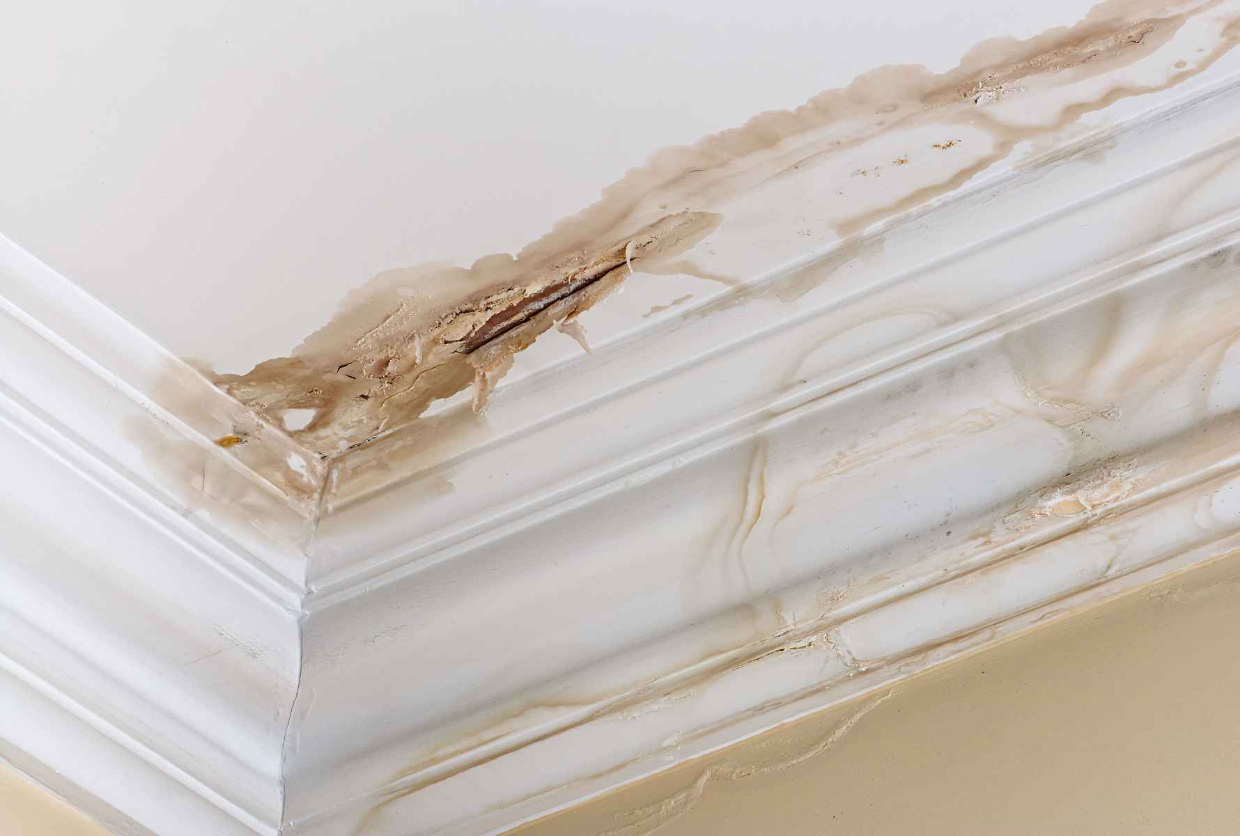 Water Damage Repair Water Damage Repair