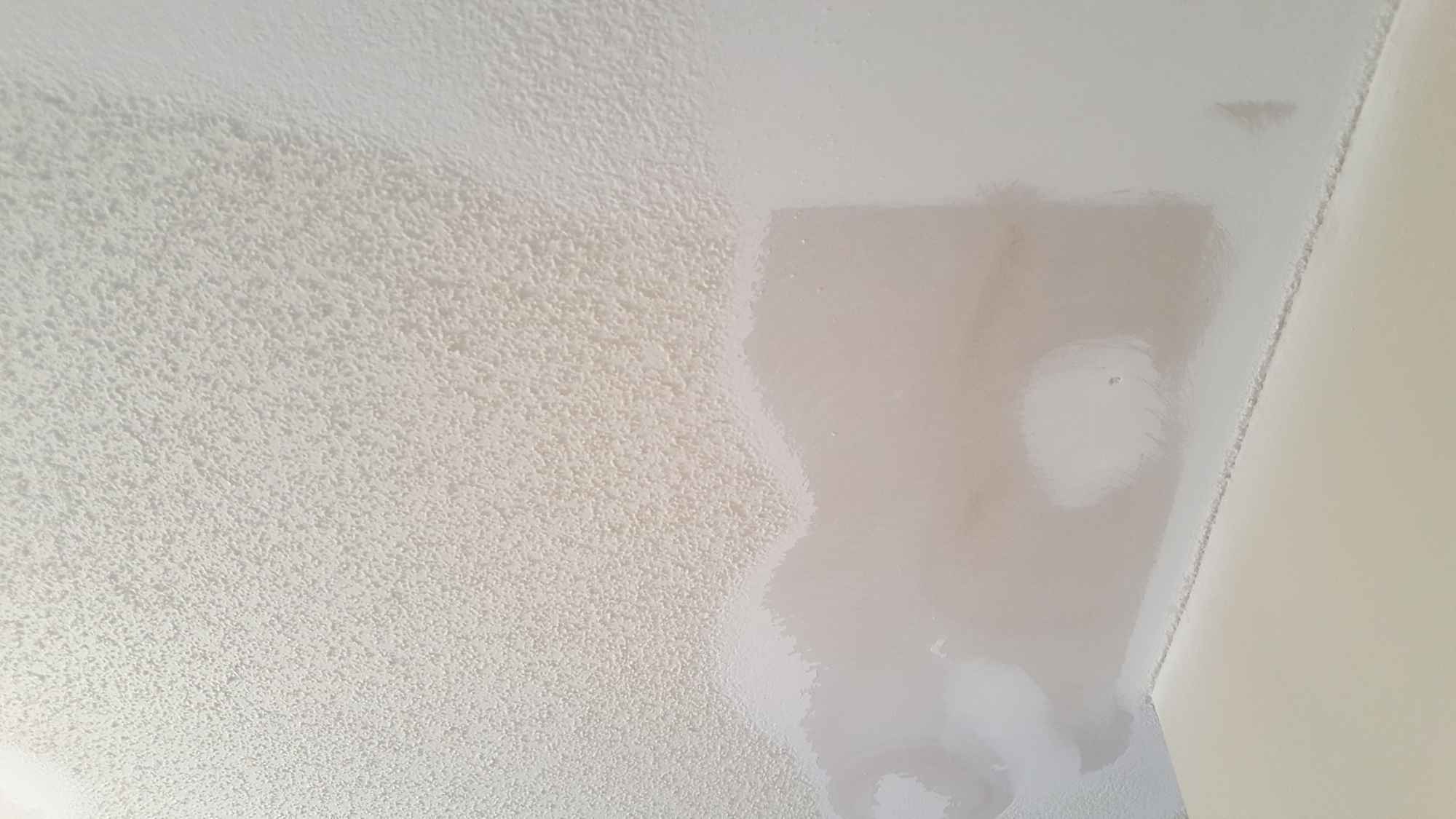 Popcorn Ceiling Removal 06